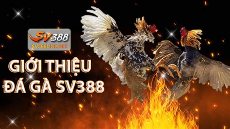 sv388|sv388 da ga.